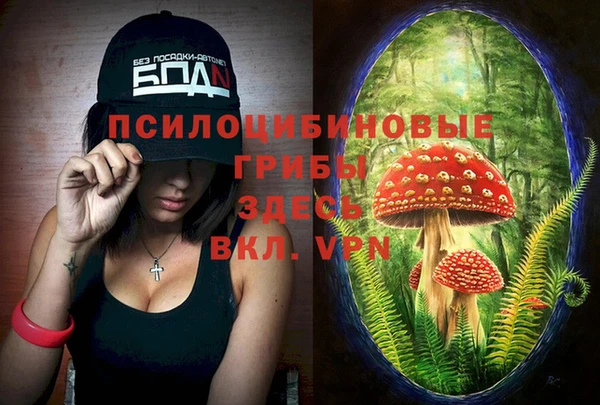 спайс Володарск