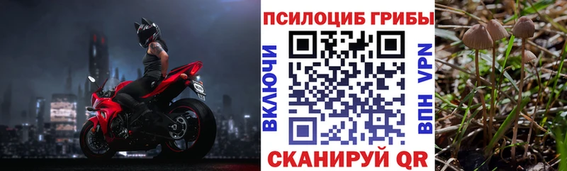 продажа наркотиков  Волжск  Галлюциногенные грибы Magic Shrooms 